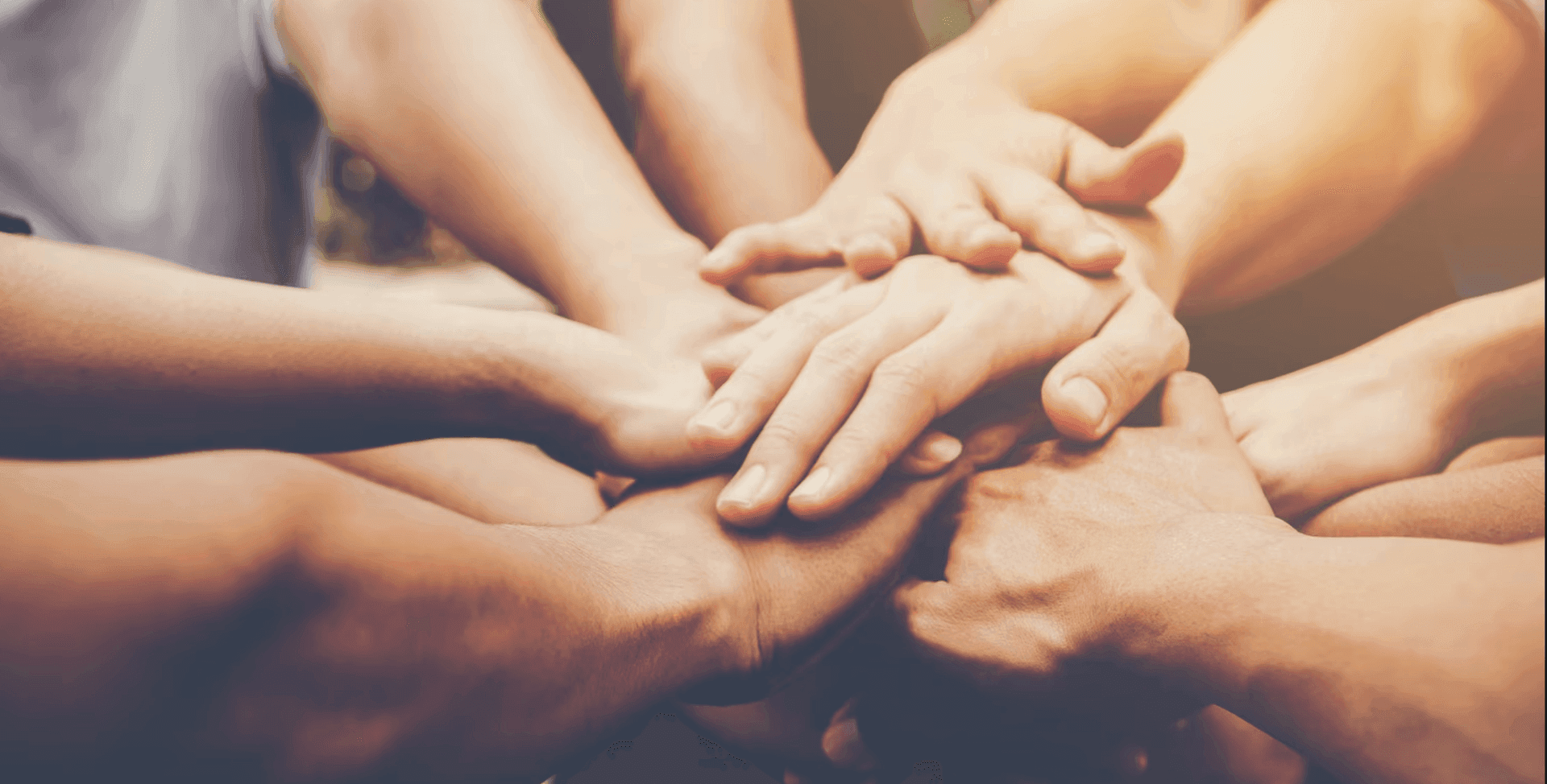 Bullfrog Foundation — waterproofing and mold remediation specialists serving Florida homeowners