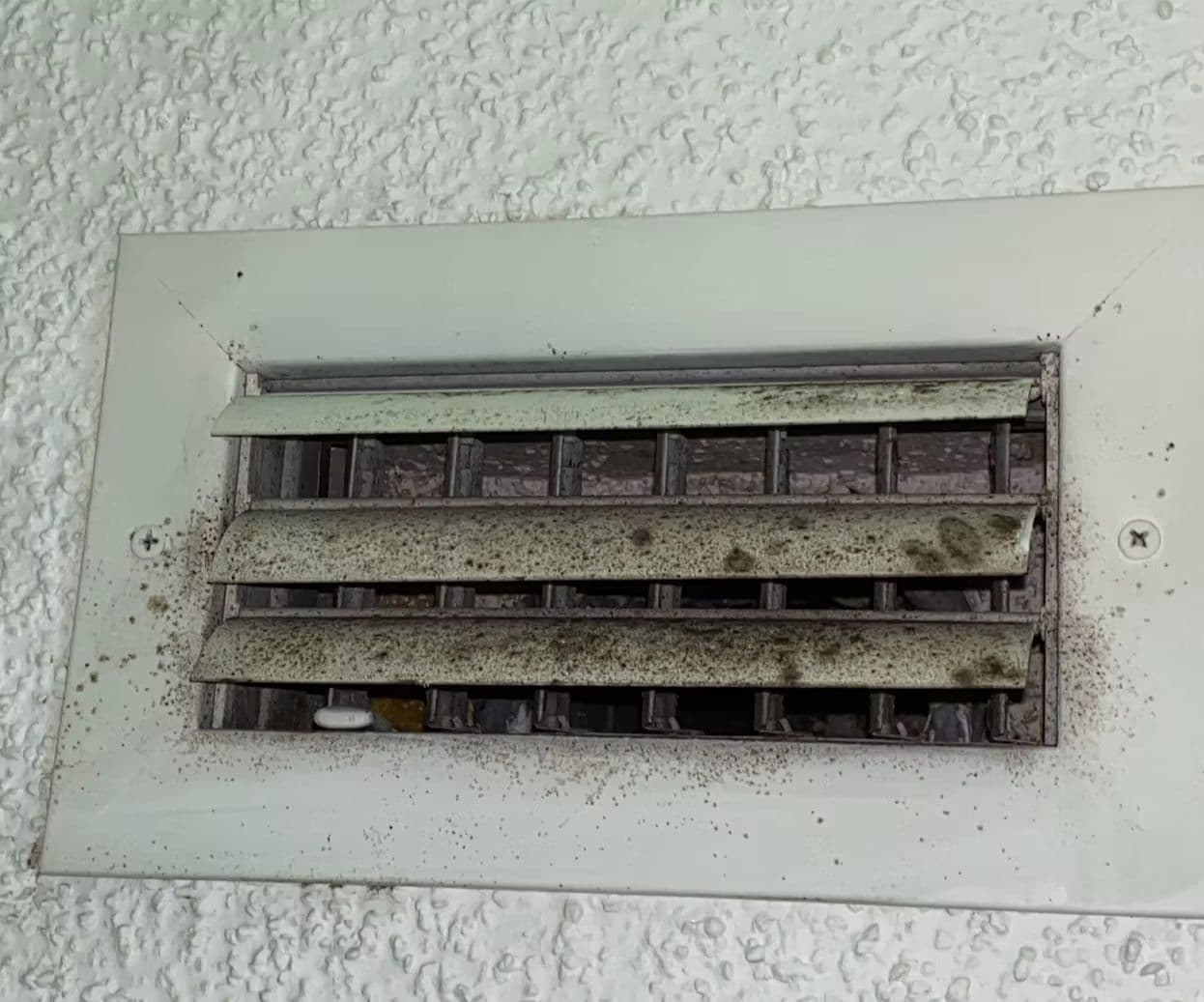 Mold Remediation Mold-contaminated HVAC air vent showing black mold growth around the register, indicating airborne spore circulation